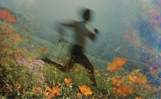 Blurred figure running through a dreamy meadow.